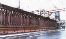 ������� ������������ ������ �������� �������